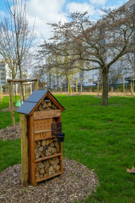 Champigny clos Mogaton 03 2025@L.Alvarez. 53