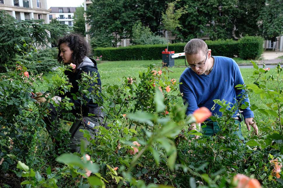 Malakoff (92) : les jardiniers améliorent le cadre de vie 6 Les jardiniers travaillent dans les champs de Malakoff (92)