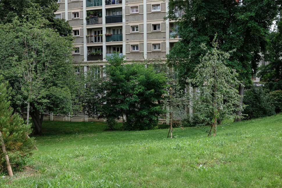 Malakoff (92) : les jardiniers améliorent le cadre de vie 7 Façade de la résidence de Malakoff (92) avec vue sur l'espace vert