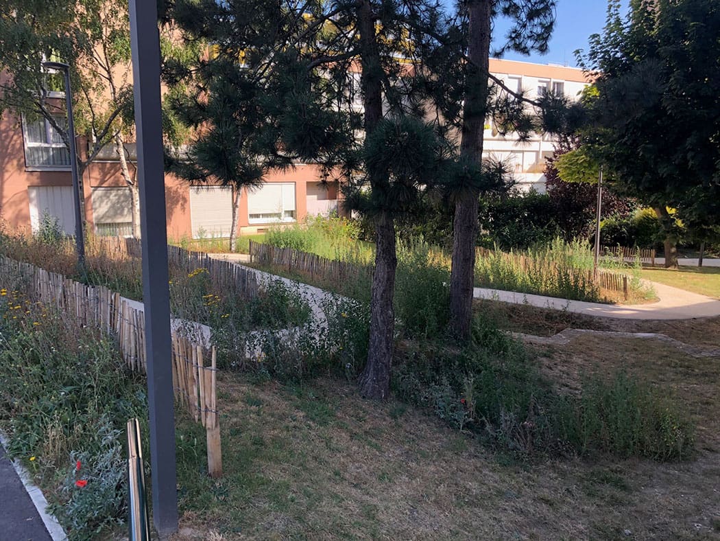 illustration exemple îlot de fraîcheur