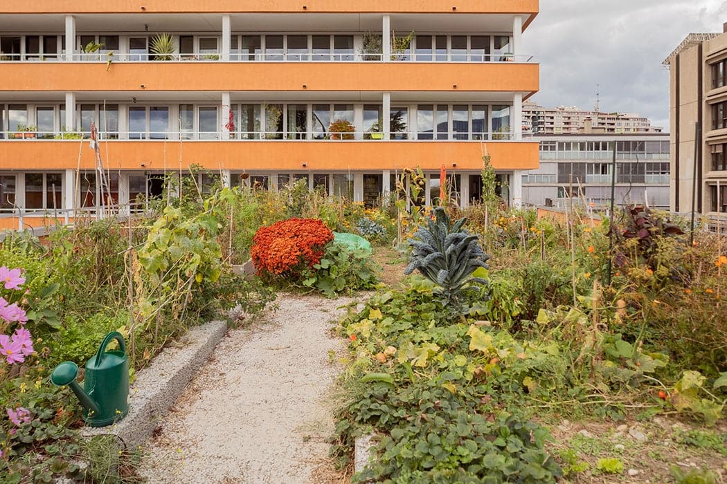 DreierFrenzel jardin aménagé