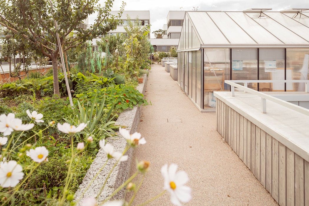 DreierFrenzel toiture espaces verts