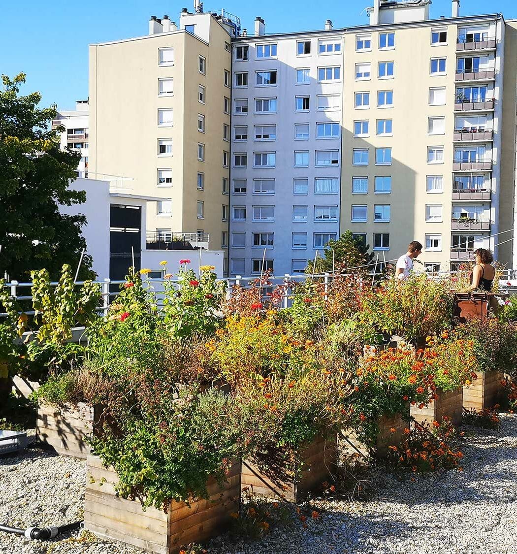 Fondation Paris Habitat - Les lauréats du 3e appel à projets sont connus 1 Fondation AgroParis Tech fondation paris habitat