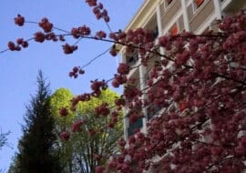 La régie au service des espaces verts !